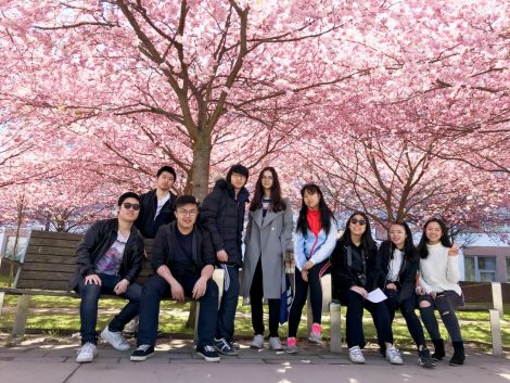 图1 樱花树下意气风发的同学们